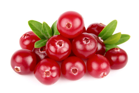 Organic Lingonberry