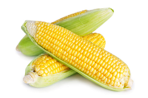 Sweet corn