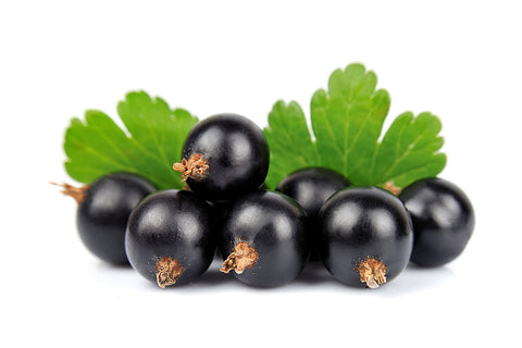 Organic Blackcurrant